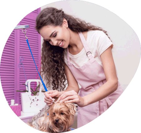 Schedule a luxurious grooming at Puppy Palace