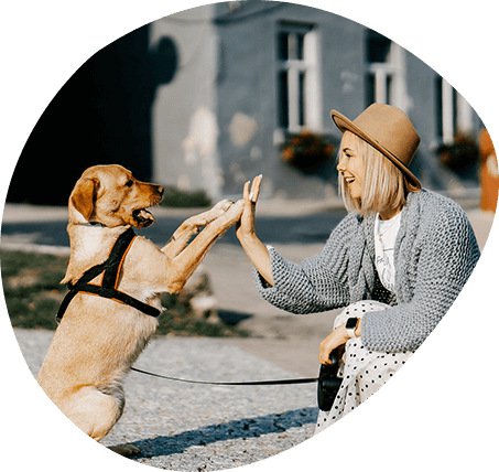 Puppy Health Guarantee